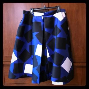 Lane Bryant skirt